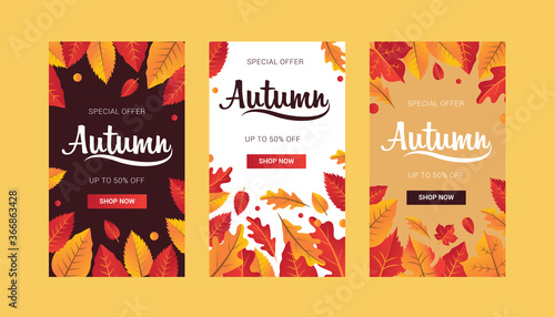 Autumn seasonal with leaf banner with  lettering its good for web banner template vector illustration 