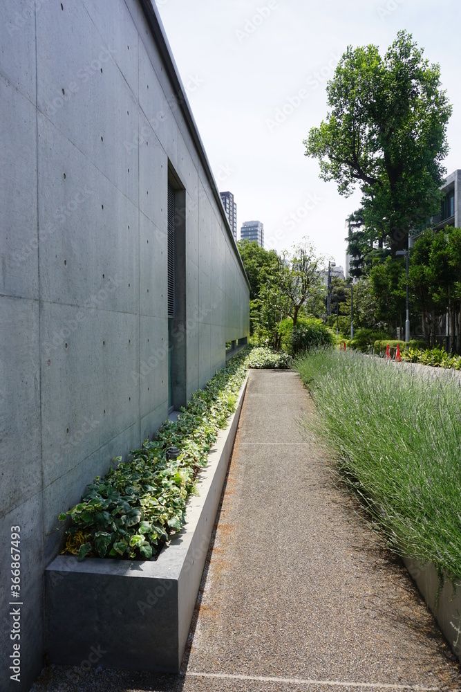 Obraz premium Narrow Path