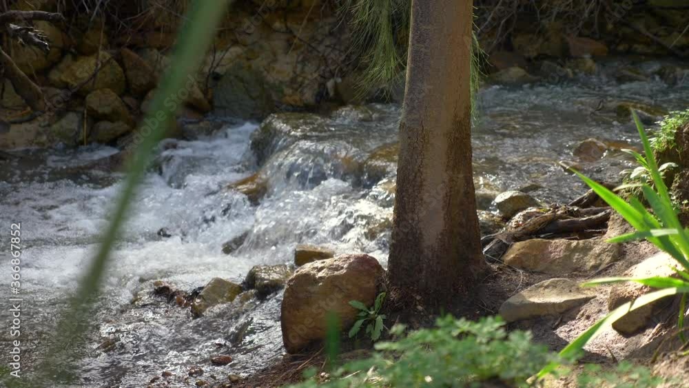 4k slow motion detail streaming water of river in Western Australia bushland at Whistlepipe Gully, Kalamunda 4k slow motion detail streaming water of river in Western Australia bushland at Whistlepipe Gully, Kalamunda