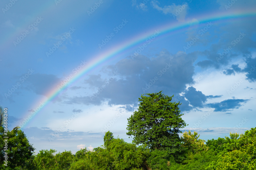 Abstract background of rainbow after raining with landscape of trees and blue sky background Abstract background of rainbow after raining with landscape of trees and blue sky background
