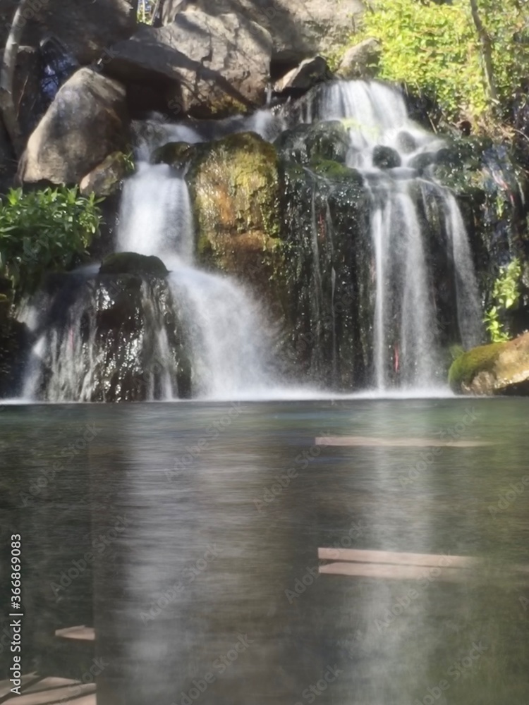 waterfall in the forest