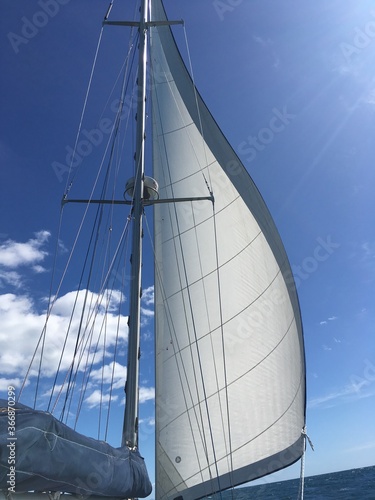 Sails on a sailboat open in the wind