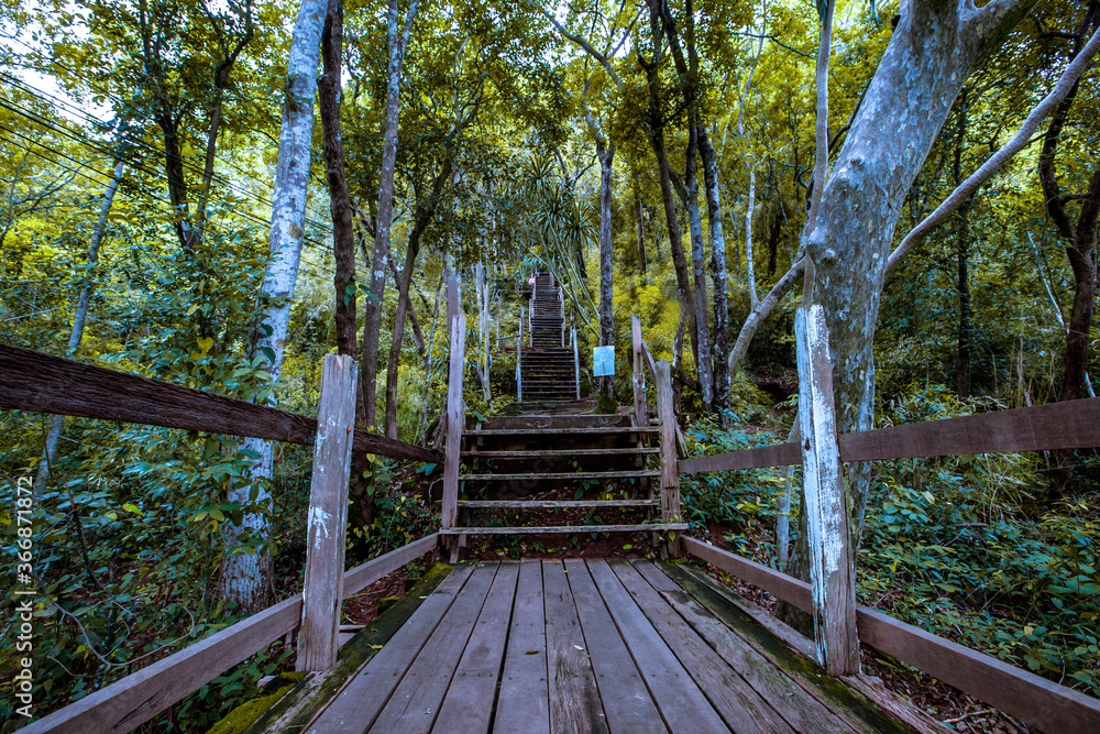 Background of wooden walkways (wooden bridges) created for high-angle views on mountains, natural attractions, or parks that have forest preservation Background of wooden walkways (wooden bridges) created for high-angle views on mountains, natural attractions, or parks that have forest preservation