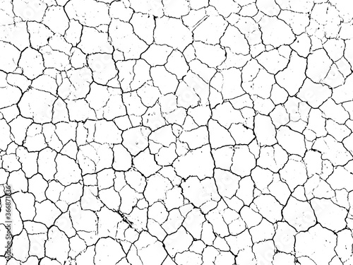 The cracks texture white and black. Vector background.Cracked earth. Structure of cracking. Cracks in dry surface soil texture. shards