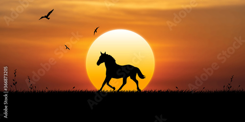 The horse is running at sunset, birds are flying in the sky