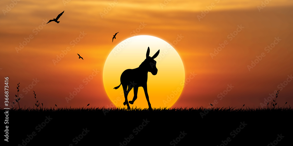 Donkey walks in nature at sunset, birds fly in the sky