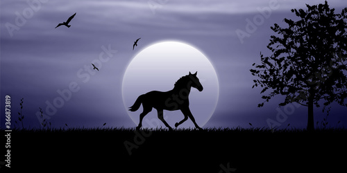 The horse walks in the moonlight at night, birds fly in the sky