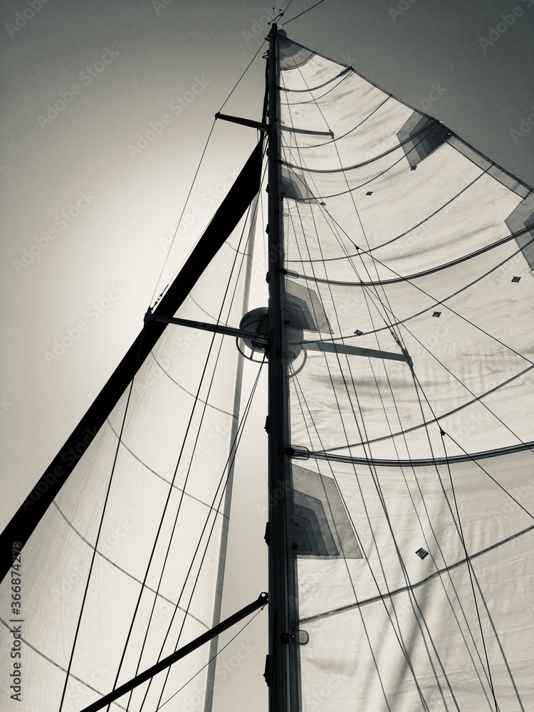 Fototapeta premium Sails on a sailboat open in the wind