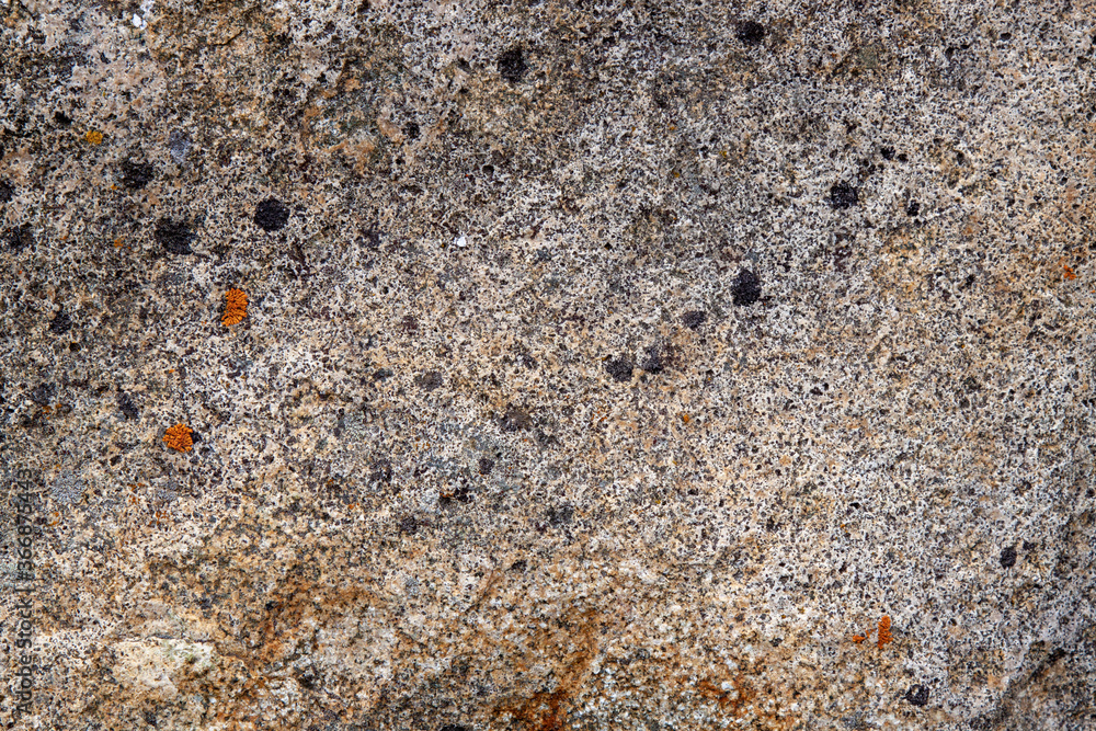 gray stone texture with inclusion and homogeneous background of the rock gray stone texture with inclusion and homogeneous background of the rock