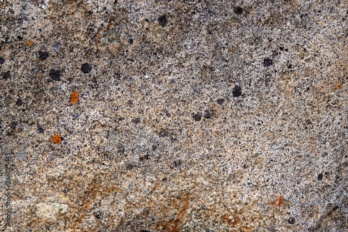 gray stone texture with inclusion and homogeneous background of the rock