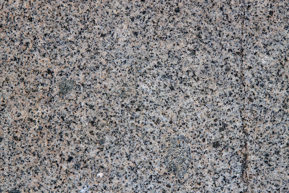 gray stone texture with inclusion and homogeneous background of the rock