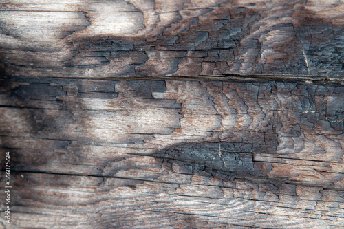 wooden texture background macrophoto aged