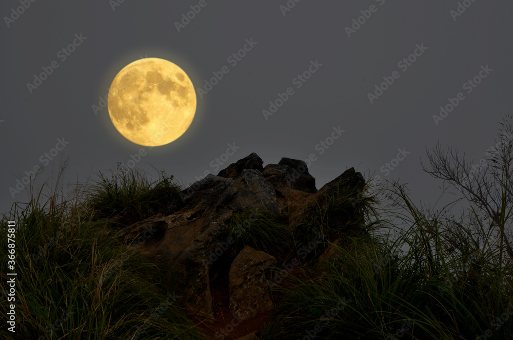 Romantic full moon over rock cliff with green grass