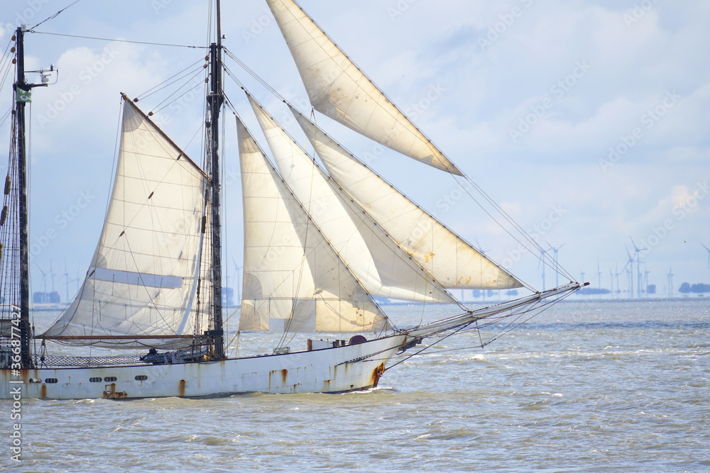 Obraz premium Sunlit Schooner on the North Sea