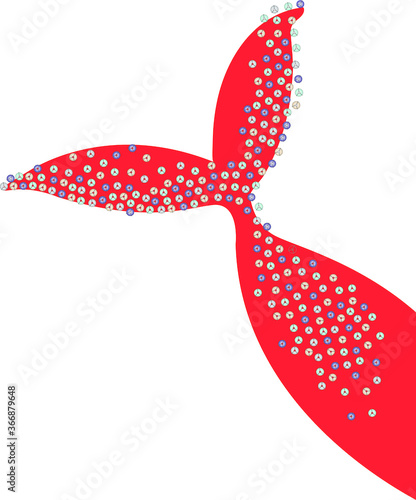 Whale Tail