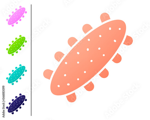 Coral Sea cucumber icon isolated on white background. Marine food. Set color icons. Vector.. photo