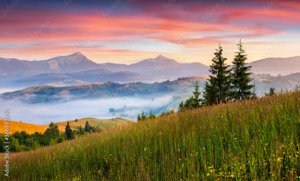 Foggy summer panorama of the Carpathian mountains.