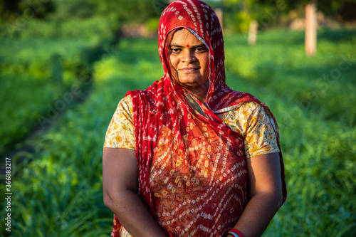 Portrait of traditional indian women wearing saree standing in green field  village female in agriculture land daytime.