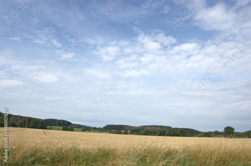 Agriculture in Extertal  Germany