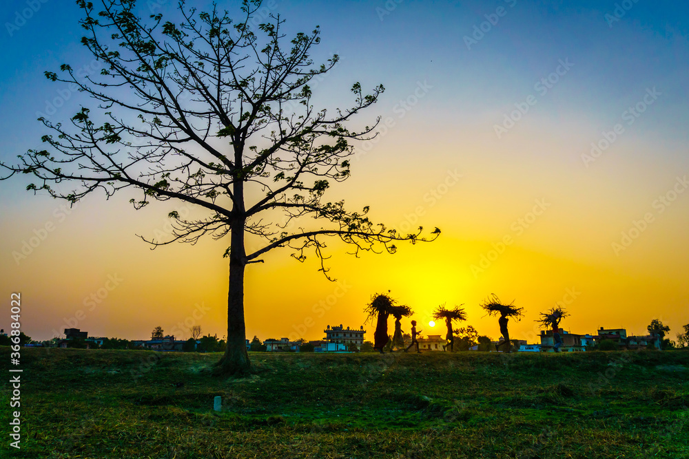 Unidentified women and children carrying firewood on their heads and going towards home during sunset in Nepalgunj, Banke, Nepal.