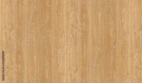 Background image featuring a beautiful, natural wood texture photo