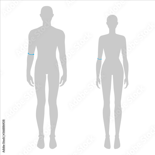 Women and men to do elbow measurement fashion Illustration for size chart. 7.5 head size girl and boy for site or online shop. Human body infographic template for clothes. 