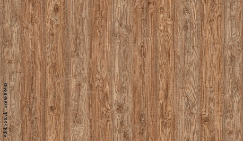 Background image featuring a beautiful, natural wood texture Background image featuring a beautiful, natural wood texture