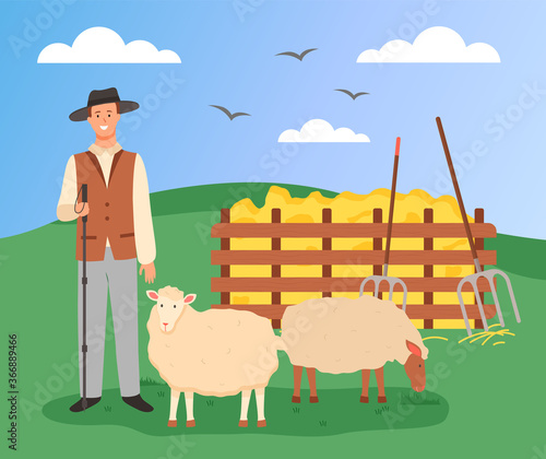 Young farmer in hat stands with shepherd's stick and sheep. Shepherd and sheep. Collected hay, pitchforks. Green landscape, clear blue sky with birds. Stock raising, farming, agriculture. Vector image