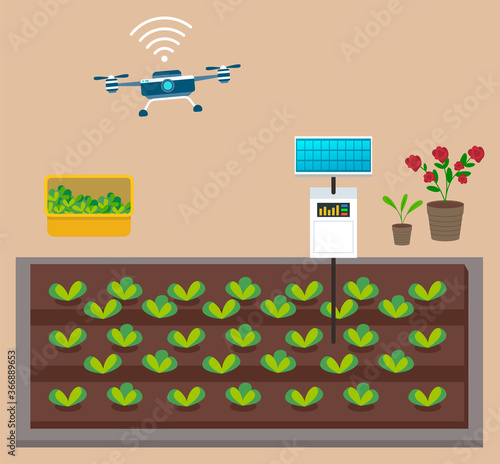 Growing vegetables or plants on artificial environments without soil. The drone controls the growth process. Flowers and box with lettuce. Solar battery energy. Modern approach in urban agriculture