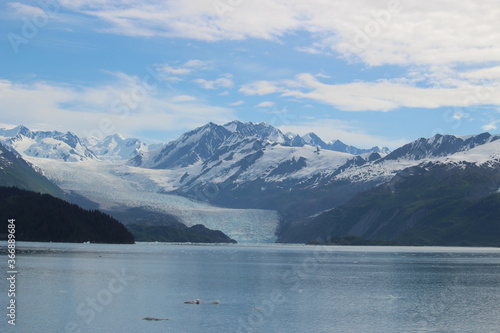 チリ氷河 2015年に撮影