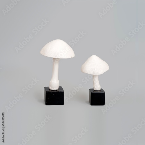 Photographie Ceramic mushrooms isolated on gray background