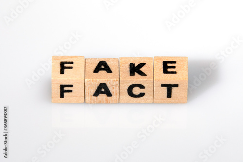 Wooden dice with letters, isolated in front of a white background, showing the word fake and the word fact on a single word formation