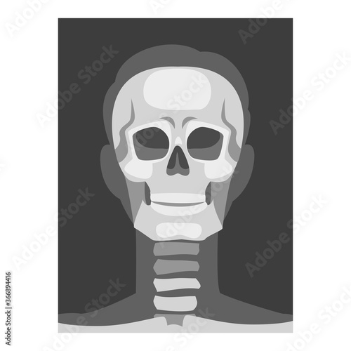 X-ray Film of Front Viewed Skull Vector Illustrated Image for Educational Purpose