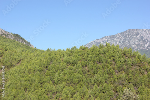 Alanya, TURKEY - August 10, 2013: Travel to Turkey. Helene Hills. Mountains in the background in the distance. Rocks, wildlife of Turkey. Forest and clear blue sky. Mediterranean Sea. © andreswestrum