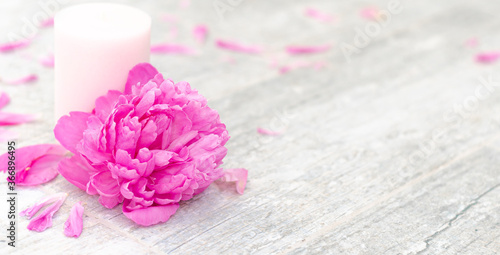 Beautiful pink peony flowers and white candle on light grey stone background with copy space for your text top view. Greeting card, SPA and romantic concept. Banner.
