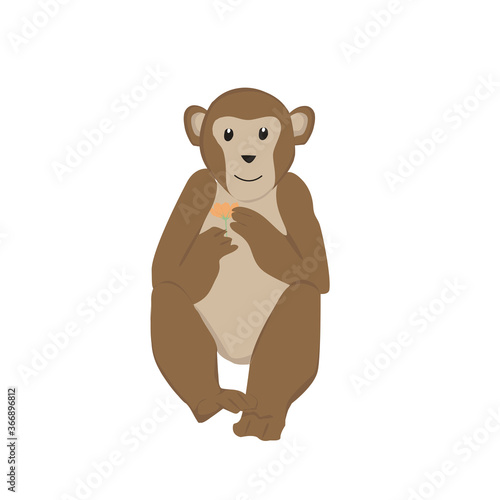 Monkey Illustration