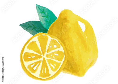 レモン　水彩　手描き