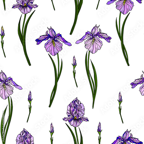 Fototapeta Naklejka Na Ścianę i Meble -  Vector seamless pattern with violet iris flowers and green leaves. Floral design with hand drawn elements for textile, wallpaper, wrapping paper. 