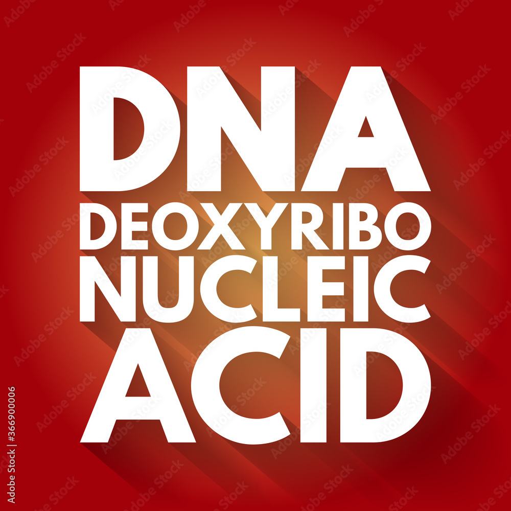 Fototapeta premium DNA - Deoxyribonucleic Acid acronym, medical concept background