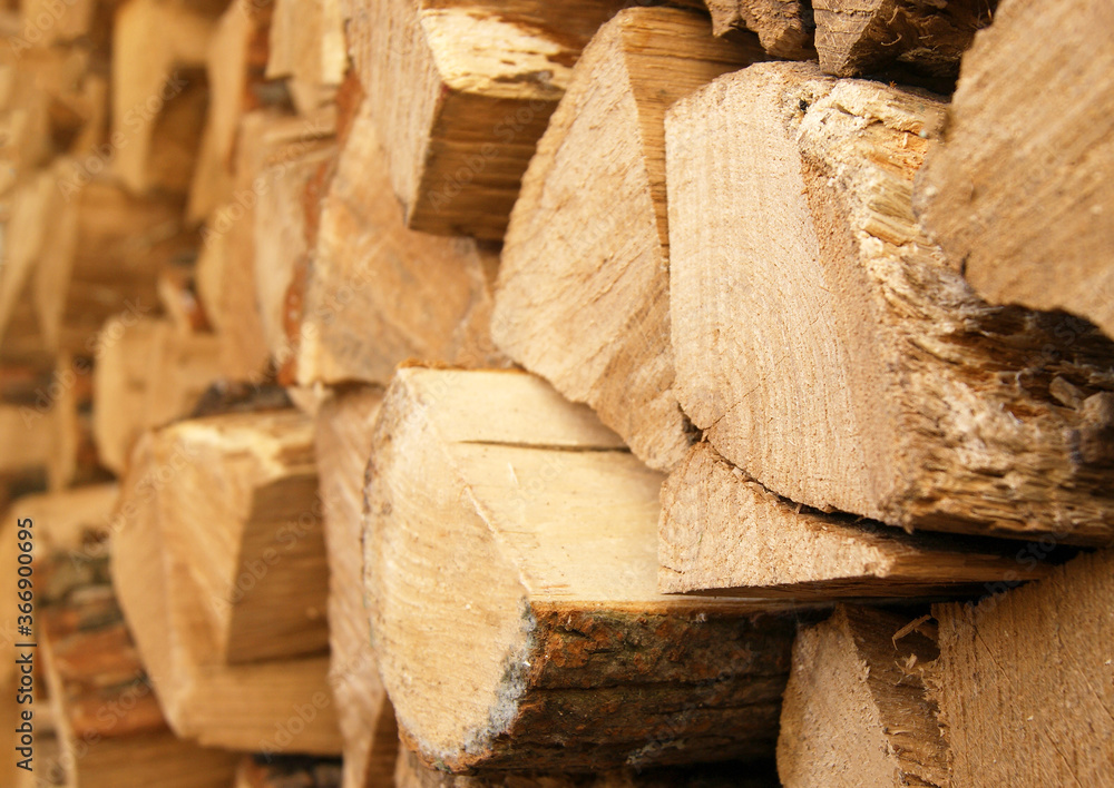 The chopped tree was piled in a pile. The chopped tree was piled in a pile.