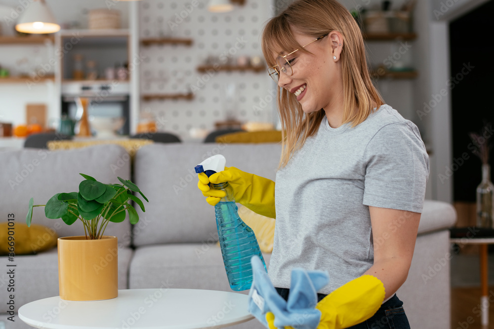 Young attractive woman cleaning home. Young beautiful woman at home. Young attractive woman cleaning home. Young beautiful woman at home.
