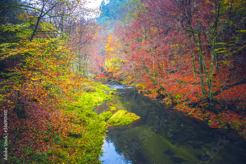 The Kamnitz Gorge in Saxon switzerland national park in Czech republic on the Kamenice River, Bohemian Switzerland. photo