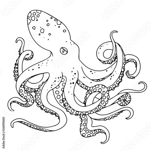 sea animals color cartoon for web and mobile design. vector illustration isolated on white background. octopus