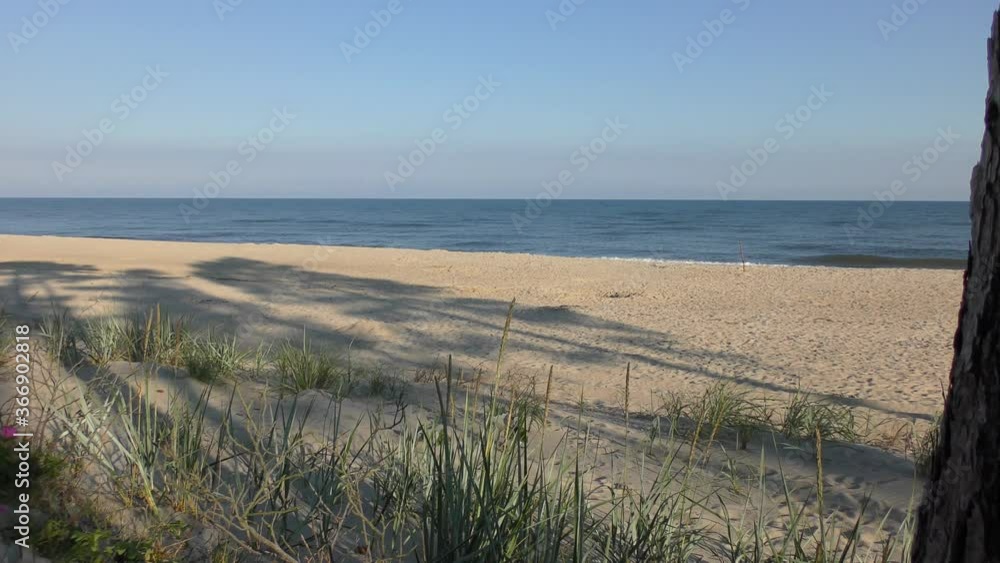 the beach of the Baltic Sea shortly after sunrise5 the beach of the Baltic Sea shortly after sunrise5