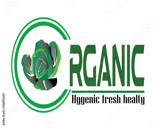 Organic food vegtables fruits hygenic fresh and healty logo design photo