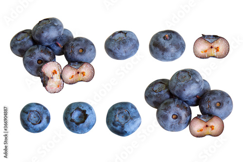 set of blueberries on a white background for your design or menu creation