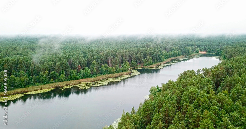 Lake in forest nature reserve