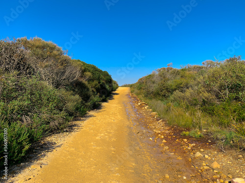 Bush track in Sydney NSW Australia sunny blue skies 