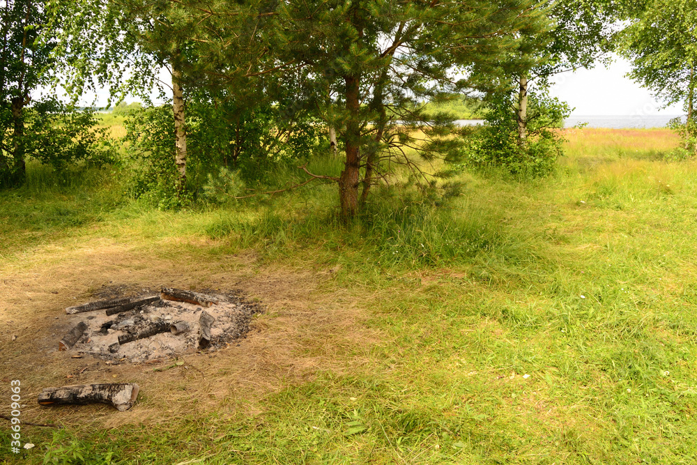 Burnt coals with gray ash after extinguished fire for barbecue among green trees and grass. Burnt coals with gray ash after extinguished fire for barbecue among green trees and grass.