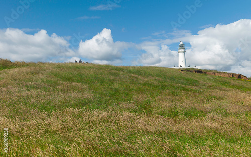 Landscape with grasses and view of lighthouse in summer. Flamborough, UK.